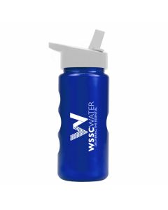 Mini Peak - 22 oz Metalike Bottle - Flip Top Straw & Handle