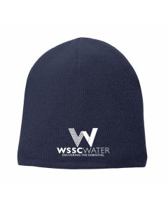 Port & Company Fleece Lined beanie 